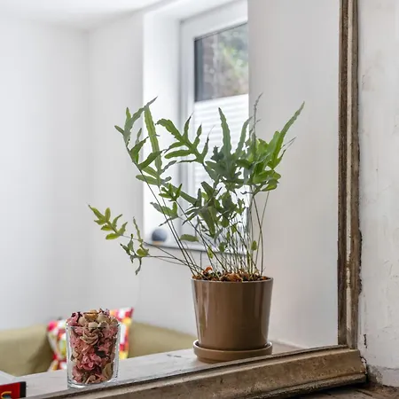 Tourbase Apartment
